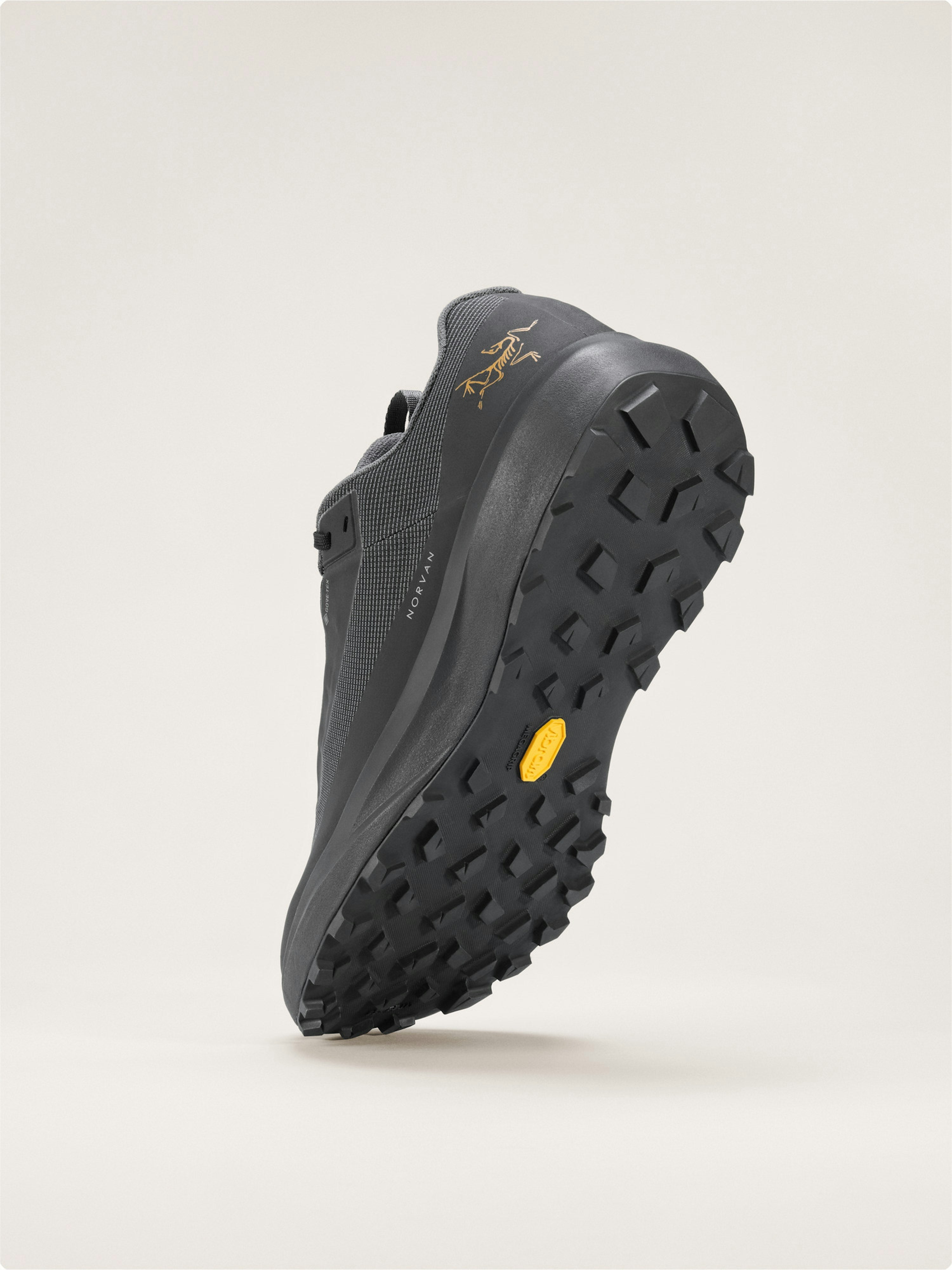 Norvan LD 4 GTX Shoe Women's